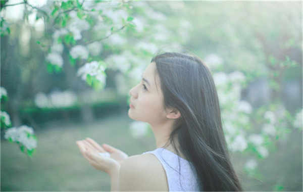 鹤城验血查男女几周可以验(验血查男女结果图)